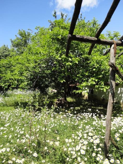 A Lovely House In Vipava Valley Exterior foto